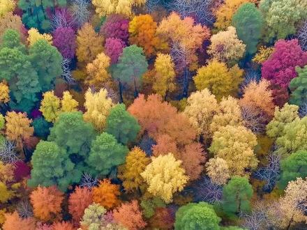 三上 《美丽的小兴安岭》朗读