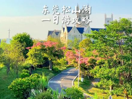 来东莞松山湖该怎么游玩?这份一日游攻略情收藏 野餐亲子路线和骑单车看花海路线已经安排好了#周边游 #周末去哪玩 #松山湖风景区 #东莞松山湖一日游