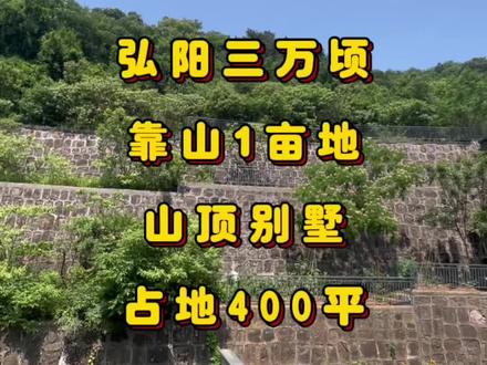 弘阳三万顷 山顶独栋
背山望湖 承包山头
#独栋别墅 #大花园 #住进风景里