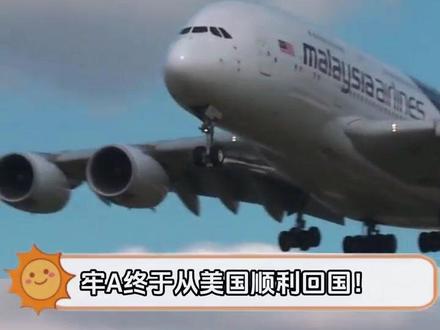 现实版魔幻生存记#牢A#勤奋#离谱#万万想不到#回国