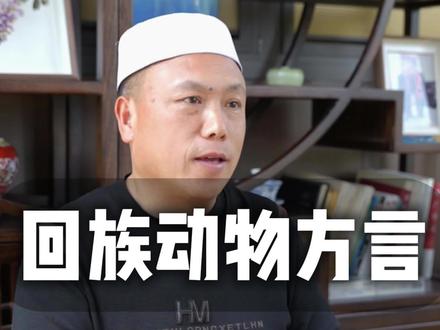回族动物方言#回族 #知识分享 #涨知识 #每天跟我涨知识