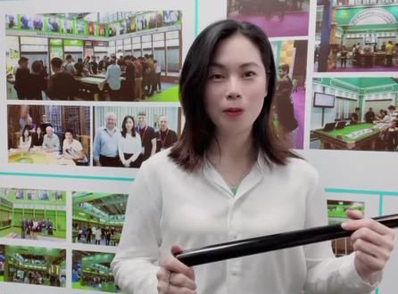英国斯坦福球杆中八与S1的区分#抖音好物年货节 #台球 #台球是一种生活 #英国台球杆
