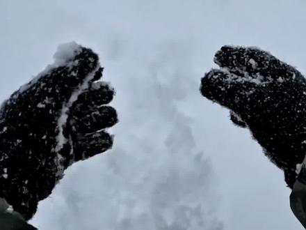 第四弹来咯~迷失在暴雪里,你会选哪一个?#暴雪 #第五人格 #庇护所 #解压 #AI