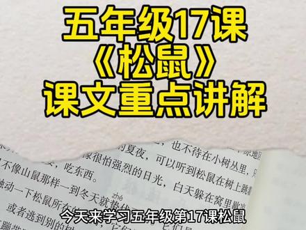五年级上册第17课《松鼠》课文讲解#小学 #语文 #五年级 #知识点总结 #课堂笔记