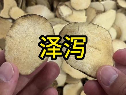 泽泻,随处可见的一个东西,但很多人却不认识#泽泻