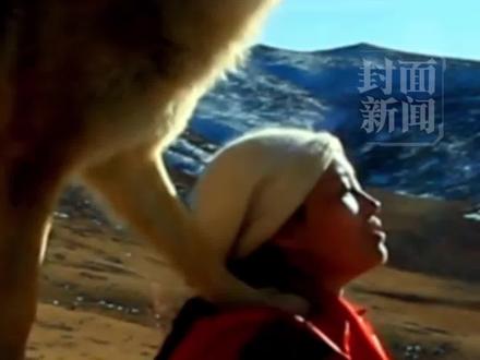 《重返狼群》原著确认再出版,旧版被炒李微漪喊话不要买