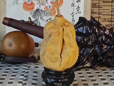 这是一把葫芦,一把缩皮的葫芦。 这是一把葫芦,一把缩皮葫芦,缩皮缩的非常有特点,特别像一个修行的老者。
我打算把它做成一把酒葫芦。内胆做下大漆的处理,让他更加有质感。#神奇的葫芦 #缩皮葫芦 #异形葫芦 #大漆葫芦 #缩皮葫芦还能这么玩