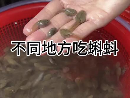 蝌蚪竟然也能成为一道美食,反正我不敢吃 #美食#美食趣胃计划