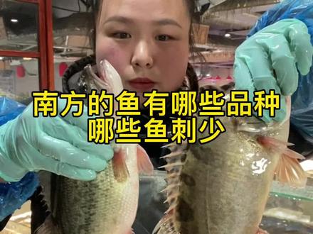你知道什么鱼刺比较少吗?今天一起看看南方的鱼都有哪些品种