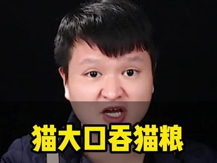 猫大口吞猫粮正常吗?#猫咪 #猫咪的迷惑行为 #猫咪吃饭 #养猫经验分享 #科学养宠攻略