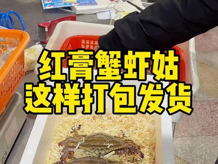 红膏蟹 虾姑木屑充氧发给在杭州的温州蛮话老乡,虽然不包活,我们能做到的是打包做到位,尽可能的提高它们的存活率#温州舥艚海鲜 #舥艚一口鲜