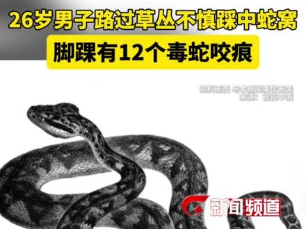 26岁男子路过草丛不慎踩中蛇窝 脚踝有12个毒蛇咬痕