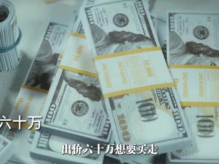 四川雅江顶级美食“扎坝臭猪肉”问起来臭吃起来香,儿豁…#地方特色美食文化 #舌尖上的味道 #好东西一起分享给大家 #希望我的作品给您带来最美的回忆与快乐