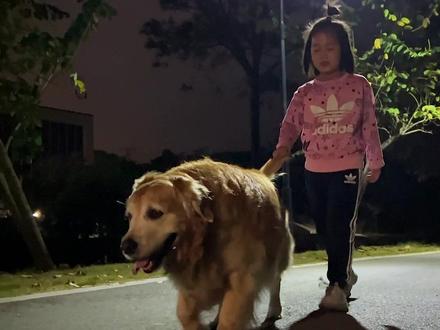 没想到狗狗也会吃醋,做父母的还得一碗水端平呀!