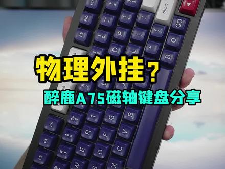 RT(rapid trigger)技术用了像外挂一样? 醉鹿A75磁轴键盘简单分享#机械键盘 #游戏外设
