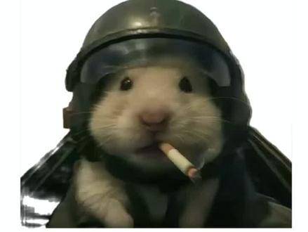 航天基地没有懦夫 巴别塔不相信眼泪