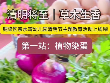 清明主题活动来啦!🌱
铜梁亲水湾幼儿园植物染蛋食育课太赞了!
用植物给鸡蛋染新衣,
在玩中学,在做中悟,
让宝贝们沉浸式感受清明传统习俗!
#清明节 #幼儿园活动 #植物染蛋 #同城幼儿园 #亲子手工