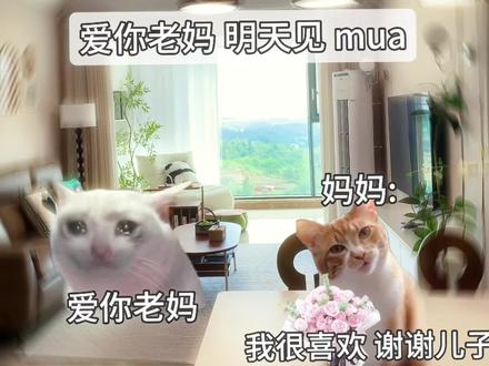 爱你老妈 明天见 mua #猫meme #爱你老妈 #猫meme小剧场