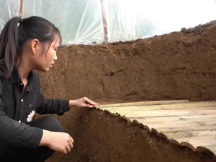 越南美女荒野建造奇葩庇护所 #荒野建造 #越南美女 #野外生存