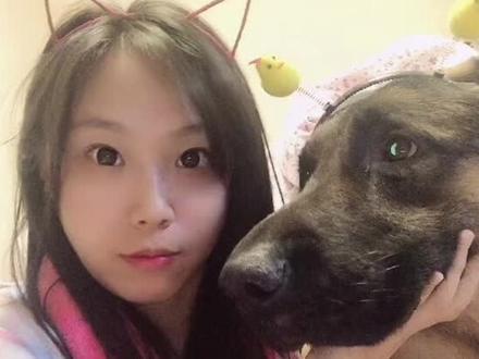 想养德牧吗?怕不怕养出来一个后腿无力体态佝偻的狗子?满满干货哦#萌宠出道计划 @抖音小助手