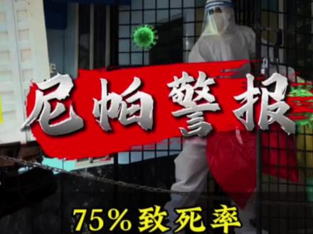 致死率75%的病毒卷土重来!印度医护集体中招,人传人已出现#尼帕病毒 #印度尼帕病毒爆发 #致命病毒