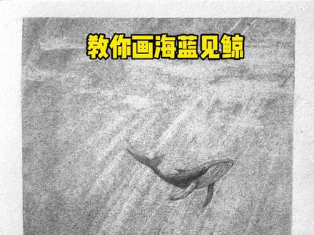 有铁汁叫我用素描重点突出海蓝见鲸的“蓝”,开玩笑,我这正是色彩斑“蓝”的黑!#创作灵感 #零基础学画画 #素描
