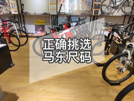 公路车尺码怎么选?崔克马东MADONE的尺码秘籍来了 #骑行 #公路自行车 #fitting
