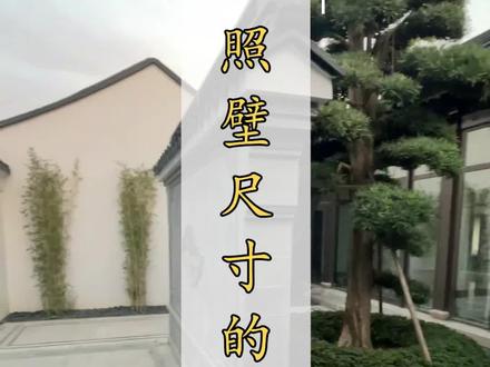 照壁尺寸有什么讲究?不是越大越好,保证功能的同时还要兼顾美观!#中式 #庭院 #传统文化 @DOU+小助手