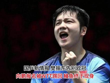 国乒新情报 樊振东告别欧冠,向鹏报名被WTT踢回