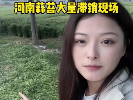 一方有难八方支援,河南蒜苔大量滞销,还请各界人士伸出援助之手#河南一年一度蒜薹放生季#北方人的蒜薹噩梦 #河南人急需一个蒜苔新吃法