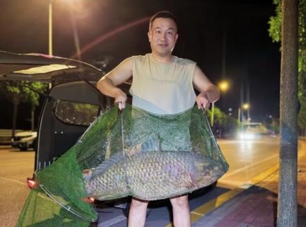 野生大鲤鱼,4拉3,49斤,一个小时上岸,夯爆了