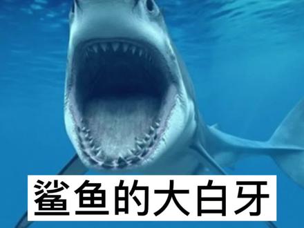 #萌知计划 #探索世界 我要是有这种细胞群,老了也能吃甘蔗了😬