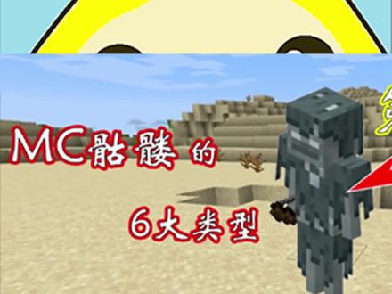 #我的世界 6大骷髅种类,大神:第5种我没见过!第6种骑马!(3)