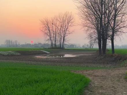 就是这句,一难顺百人意,直人难顺一人心:意思就是无论你活成什么样子,都有人说三道四,这个世界我们只来一次,吃想吃的饭,见想见的人,看喜欢看的风景,做自己喜欢的事,活出自己的样子是人生最大的快乐…#治愈系风景 #人生感悟 #乡野田间