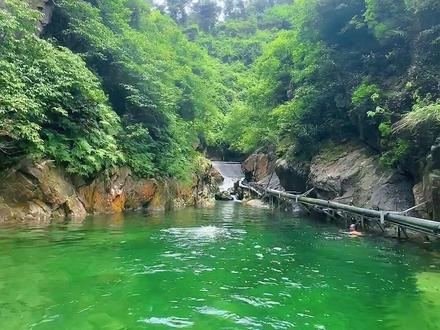 肇庆大坑头,泡在水里的夏天#溯溪 #清澈见底的水