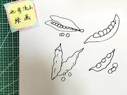 豌豆简笔画,陪孩子一起学画儿童画 #简笔画 #儿童简笔画 #简笔画教程 #画画 #绘画 #幼儿简笔画 #儿童画