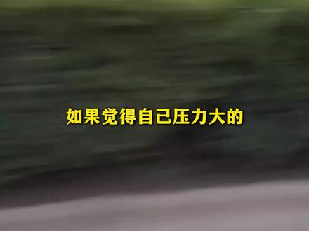 一碗水端平这块(文案处排名不分先后orz)#青岛 #济南 #山东 #搞笑 #山姆