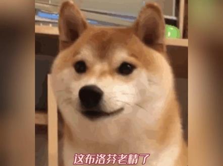 #布洛芬给自己找轻松活 这布洛芬老精了,净给自己找轻松活!