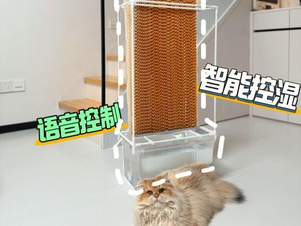 每天蒸发100斤水丨自制暴力加湿器 建议大数据推给所有北方的朋友
冬天一到暖气一开,屋里湿度直接到十几,浑身干燥、嗓子生疼,墙皮都开裂了。老婆试了喷雾的、冷蒸发,最后甚至搞了雄小两千的热蒸发,不仅耗电还没用
我就决定自制一台暴力的冷蒸发加湿器:每小时3000毫升的暴力加湿量,相当于每小时在空气中增加6瓶矿泉水,能用Siri和小爱同学语音控制,还能在手机一键控制,还可以做到智能控湿让室内保持舒适的适度区间
可以直接加自来水,不用担心喷雾加湿器造成的肺部感染
而且超级省电,一周差不多2-3度电
水箱是20升的,比市面上两千块的机器水箱都大,就这我家一天能加2-3次水,怪不得之前的空气加湿器不顶用了#空气加湿器 #自制空气加湿器 #自制加湿器 #家居生活 #改造