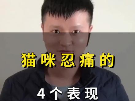 如果你家猫出现这几种表现,那说明它正在忍受疼痛#猫咪 #新手养猫 #宠物猫