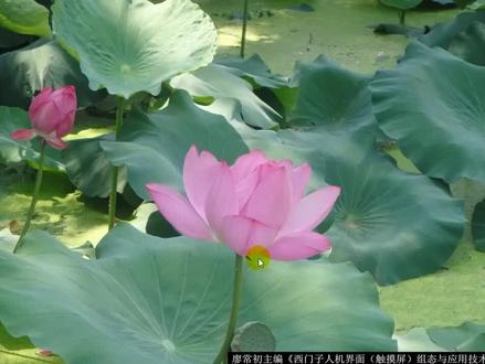 博途TIAPLC-1200 WINCC教程-第一集