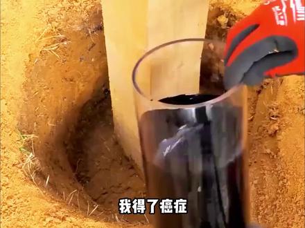 第1集,林浩,柳如烟#书荒推荐 #拯救书荒