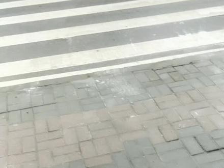 曙光小学学生的素质很差很差很差很差,学校周边经常是满地零食垃圾