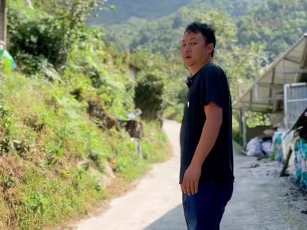 #猪发烧怎么办 猪发烧怎么办,如何处理#猪发烧 @抖音小助手