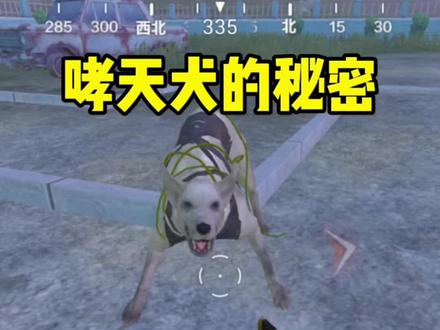 大家在暗夜危机模式遇到过哮天犬吗?@DOU+小助手