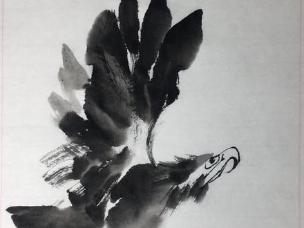 中国画技法学习,几笔画个鹰 水墨画 写意画 山水画 花鸟画#抖音小助手 #简笔画 #中国 #上热门 #雄鹰