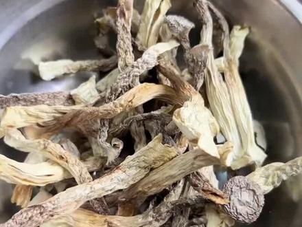 干鹿茸菇怎么泡发#美食