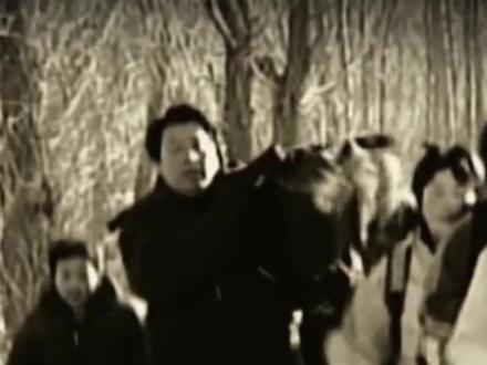 小城七台河,为什么能贡献7枚冬奥金牌!#冬奥会 #短道速滑 #人物故事
