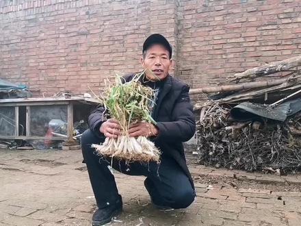 冬天农村人这样储存干大葱倒,变鲜大葱一冬天吃不完,值得收藏
