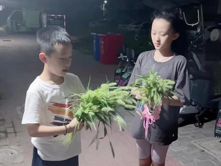 其实随处可见的狗尾巴草,是个宝贝,不光能编兔子还能止痒,有时候身上痒煮水擦擦就可以止痒,大自然就是这么神奇,上次女儿身上痒就给她煮水擦过一次,没想到她记住了~#狗尾巴草#止痒#生活常识#育儿